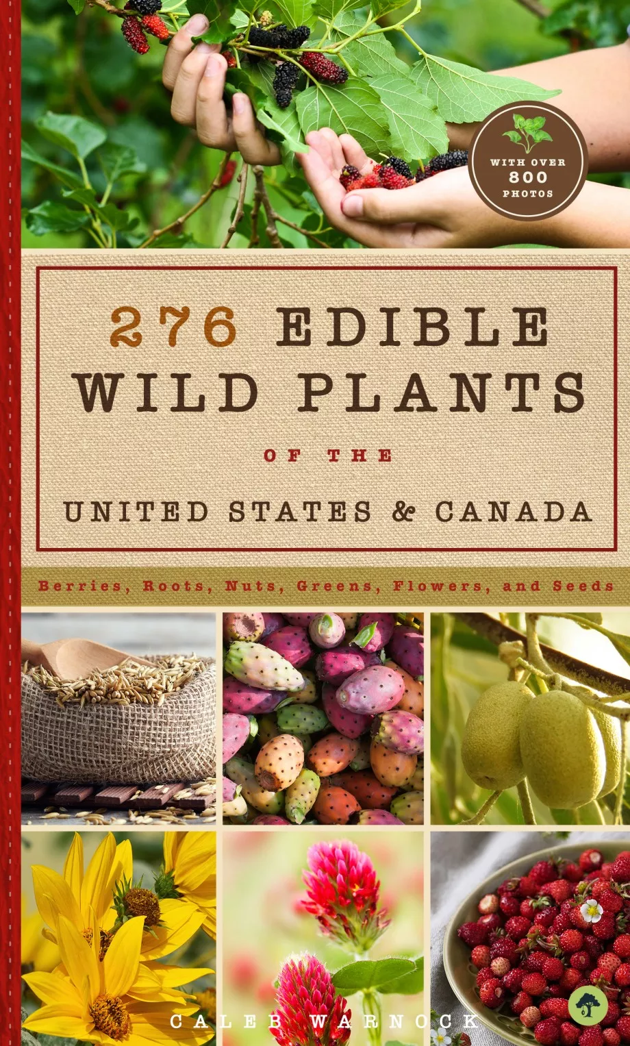 276-edible-wild-plants-united-states-canada 276 Edible Wild Plants of the United States and Canada