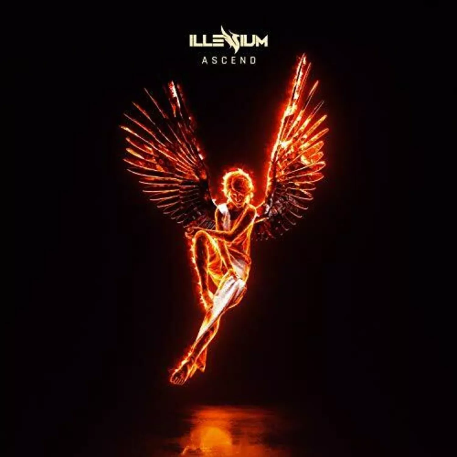 Ascend (2 LP)