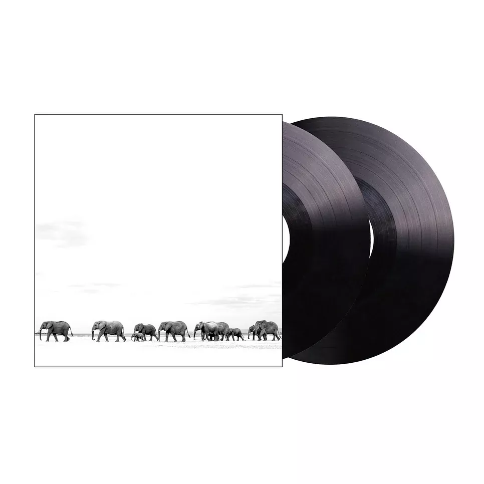 dave-matthews-band-where-are-you-going-singles-2xlp DAVE MATTHEWS BAND - WHERE ARE YOU GOING: THE SINGLES (2xLP)