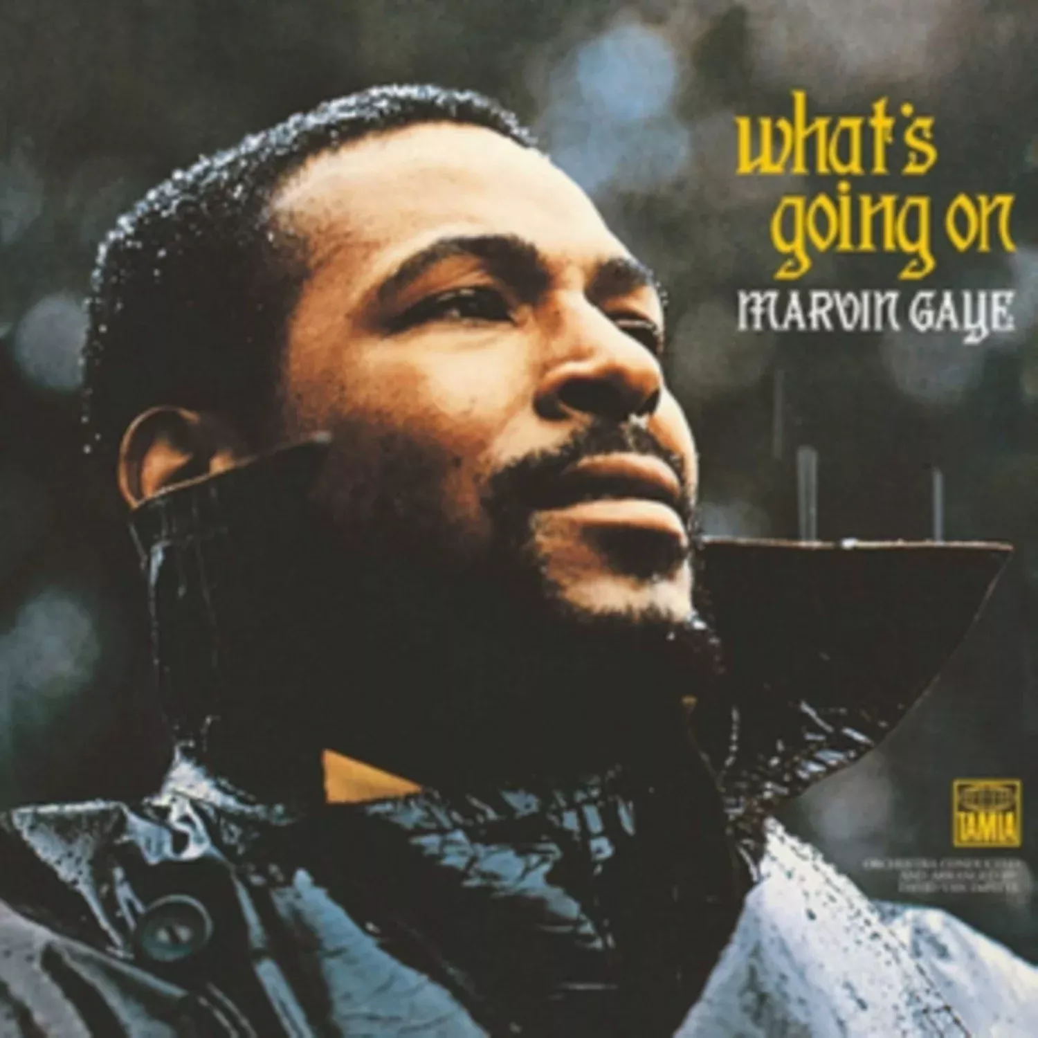 what-s-going-on What's Going On