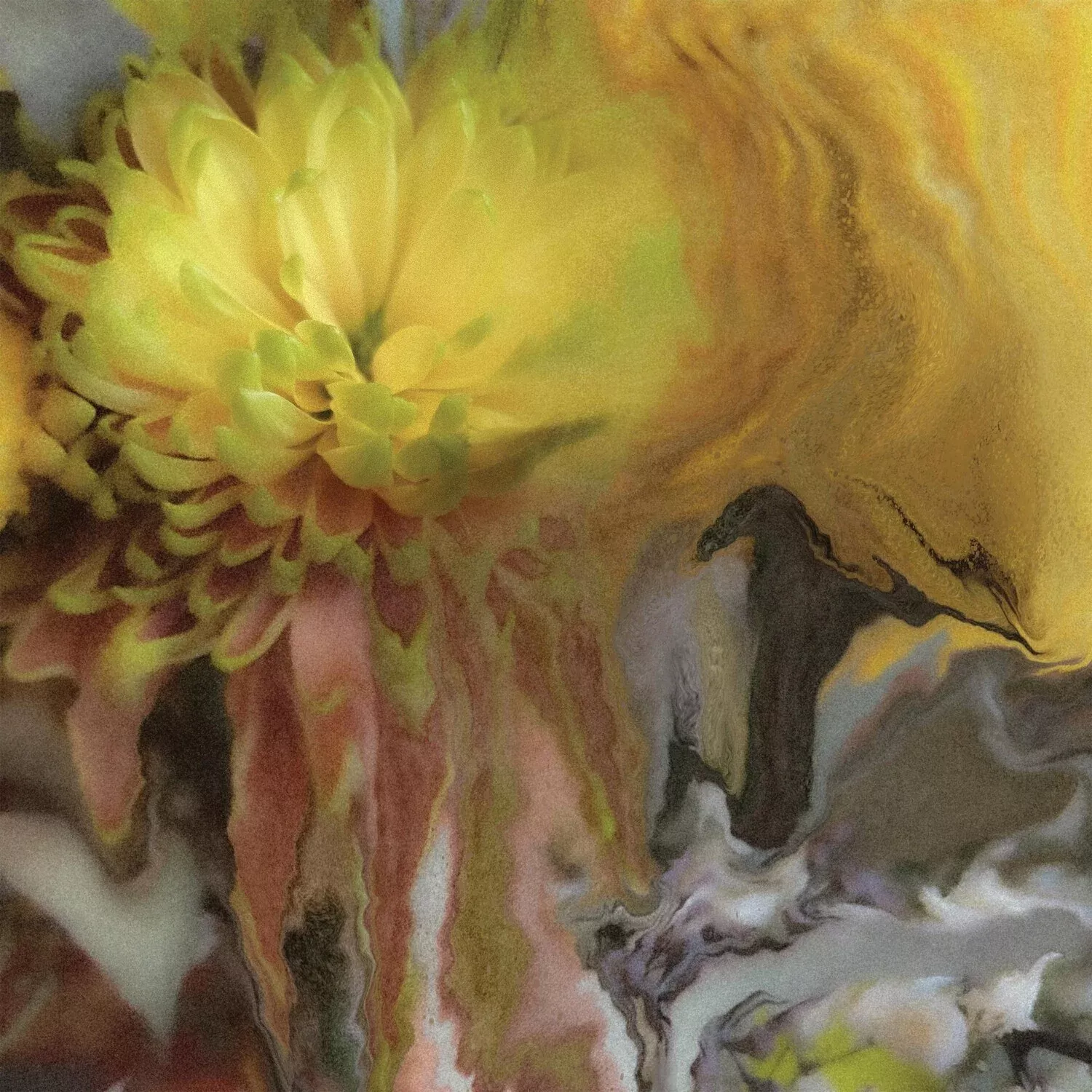 wilderness-within-you Wilderness Within You
