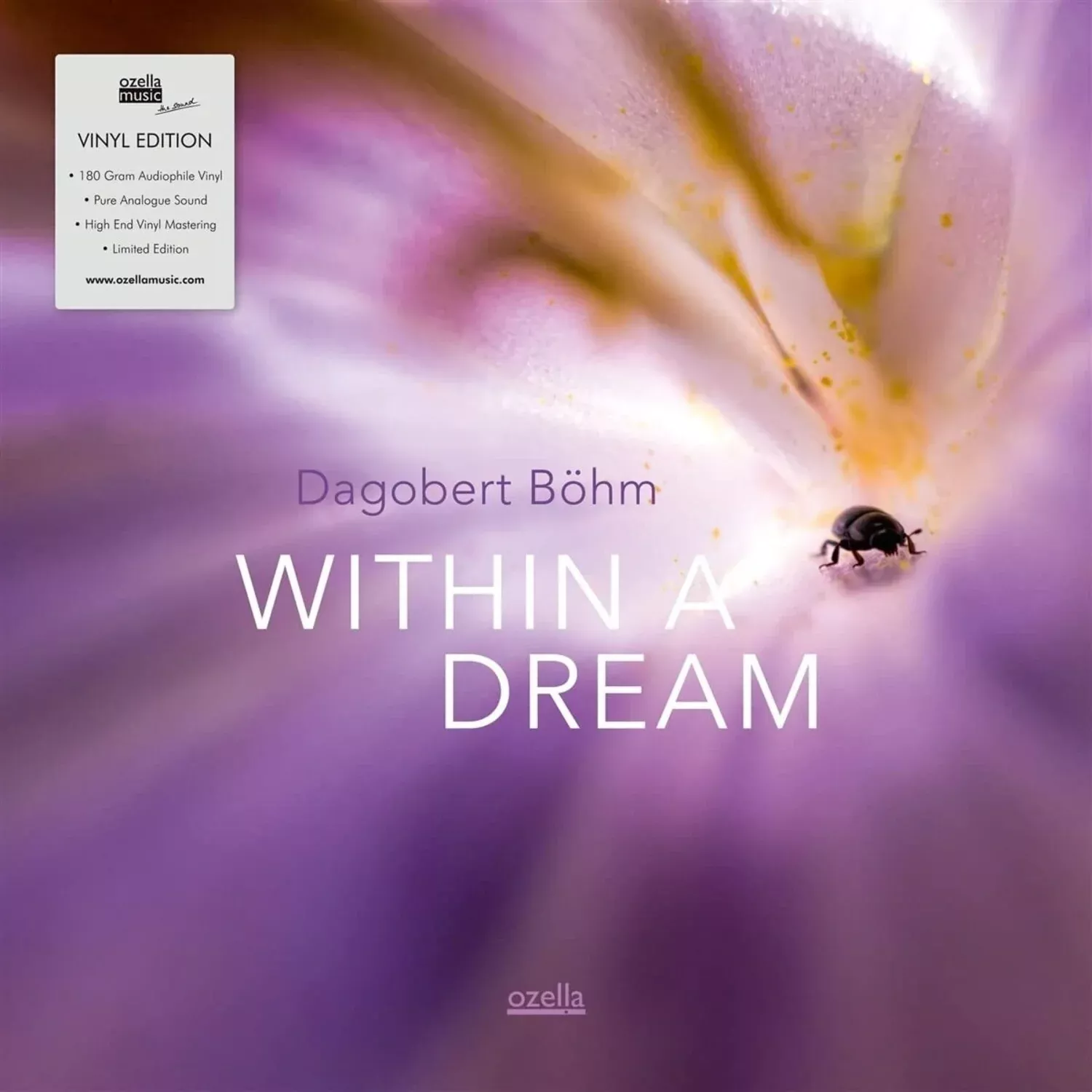 within-dream Within A Dream
