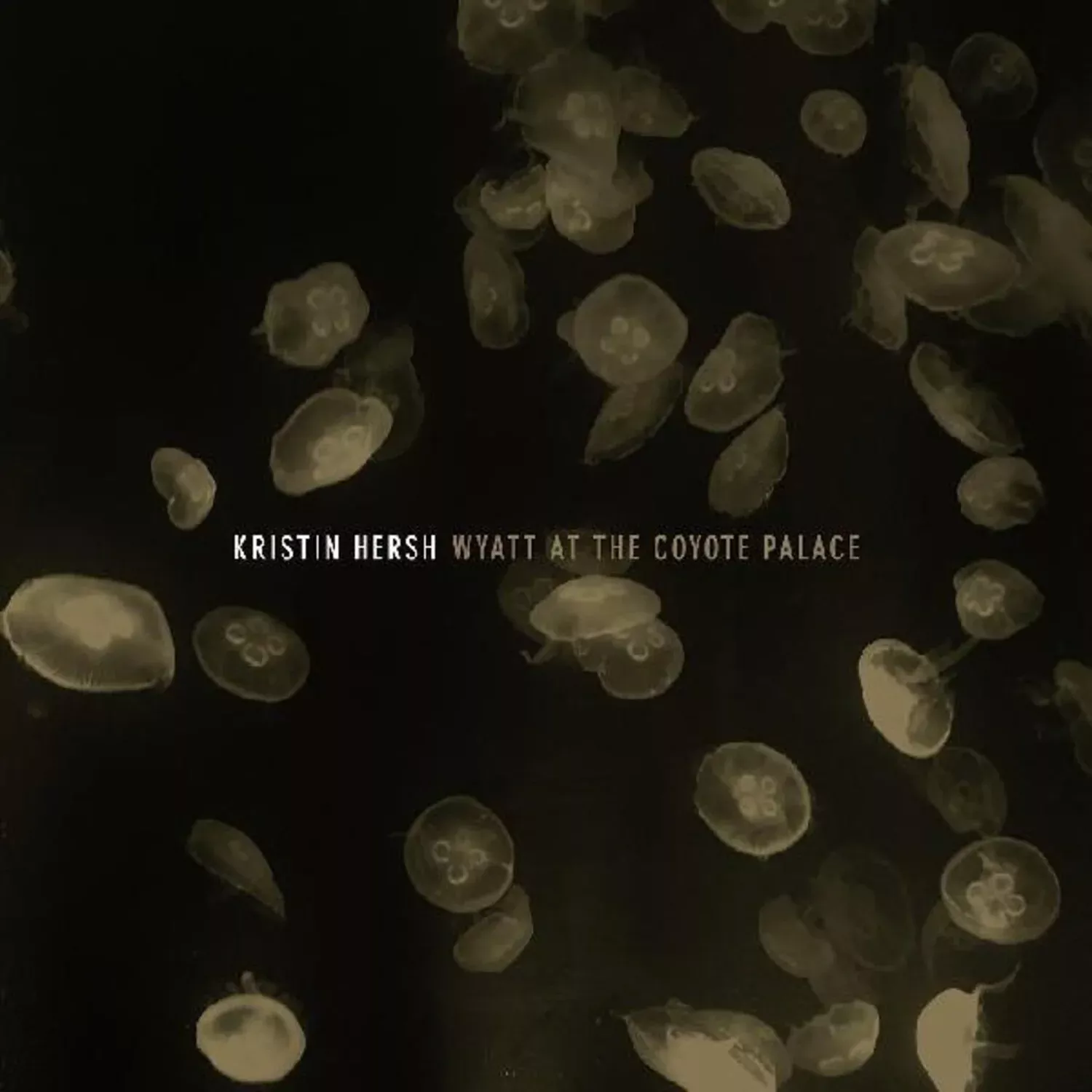 wyatt-at-coyote-palace-2lp Wyatt At The Coyote Palace (2LP)