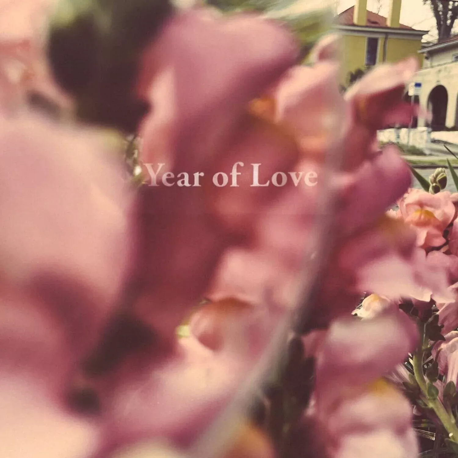 year-love Year Of Love